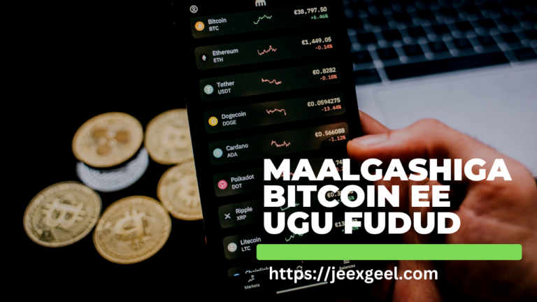 Istaraatiijiyadda Fudud ee Maalgashiga Bitcoin